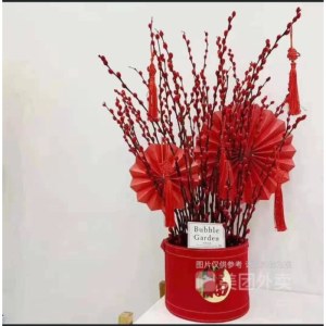 广州天河区-八方来财-一盆银柳鲜花绿植（仅在广州市区域内配送）