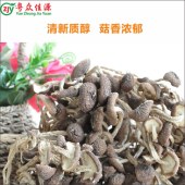 不开伞茶树菇-200克