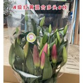 【香水百合花】红色黄色混合家庭自用送礼首选