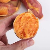 京陇红薯 10斤/箱