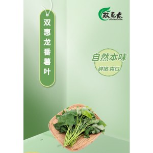 双惠龙番薯叶 冷链发货 3斤起售