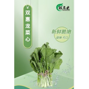 双惠龙菜心 冷链发货 3斤起售