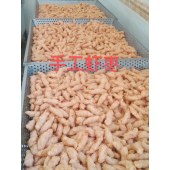 千渔本港虾枣 惠来直发 5斤起售