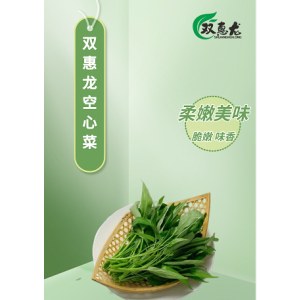双惠龙空心菜 冷链发货 3斤起售
