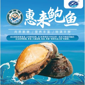 海味珍品之冠-惠来鲍鱼【仅发广东省内】