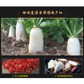 谭儒彩椒萝卜干